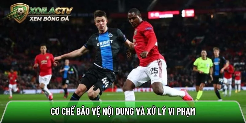 Cơ chế bảo vệ nội dung và xử lý vi phạm